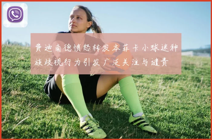 费迪南德愤怒转发本菲卡小球迷种族歧视行为引发广泛关注与谴责