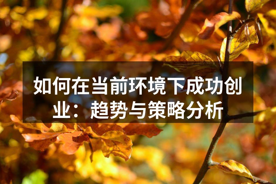 数字化转型助力创业成功